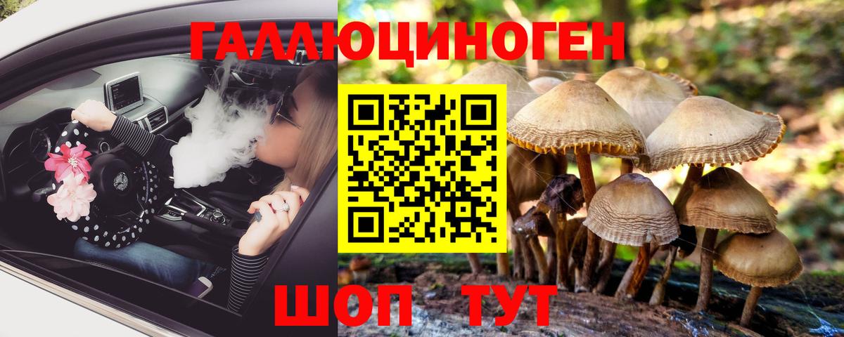 Псилоцибиновые грибы Cubensis Медногорск